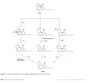 cbn - 2