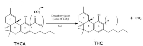 Decarbing Cannabis Oil: THCA to THC