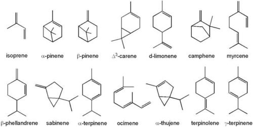 Tips For Successful Cannabis Terpene Distillation