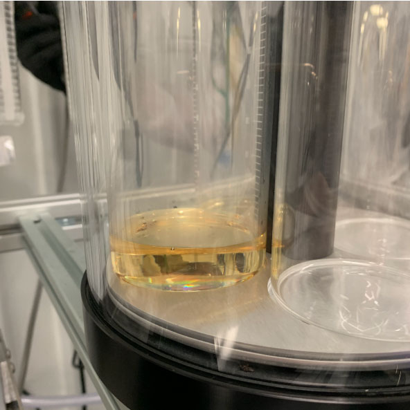 Distillation of Δ8-THC