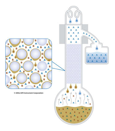 packed distillation column